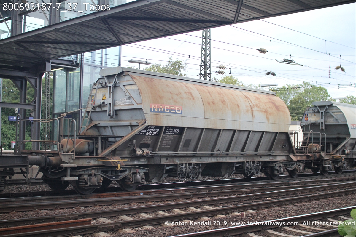 800693187-7_37_Taoos.JPG